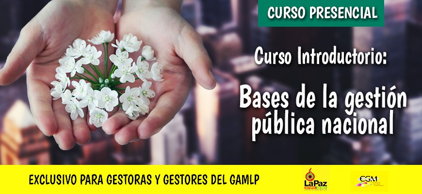 Curso introductorio Bases de la gestión pública subnacional