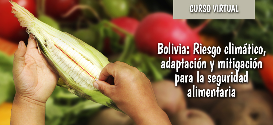 Curso virtual: Bolivia, riesgo climático, adaptación y mitigación para la seguridad alimentaria